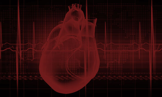 Cardiovascular Disease Risk Factor Burden During the Menopause Transition and Late Midlife Subclinical Vascular Disease: Does Race/Ethnicity Matter?