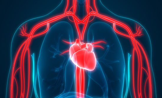 Childhood Maltreatment and Arterial Stiffness Among Midlife Women